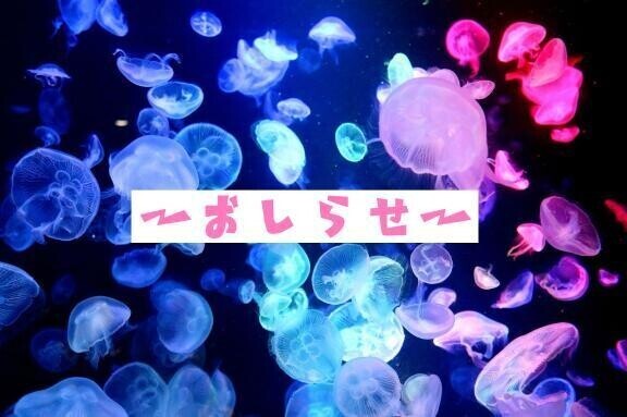 ♡はじめたよん♡