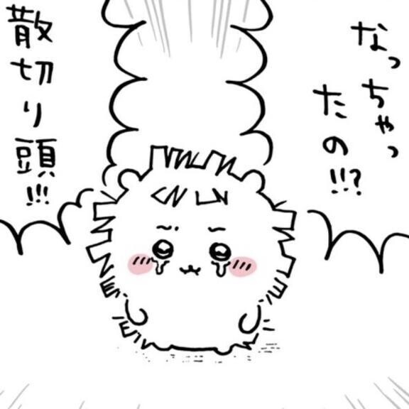 ごめんなさい*_ _)