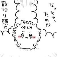 ごめんなさい*_ _)