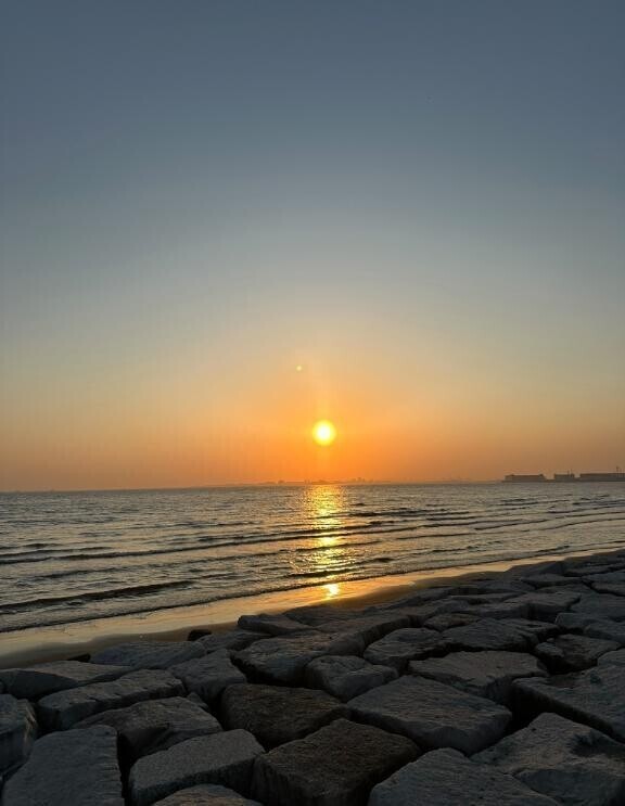 夏だなあ