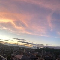 ありがとう❤️