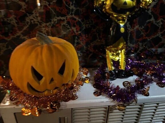 廊下にいたパンプキン🎃