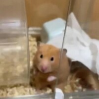 れな完全業界未経験