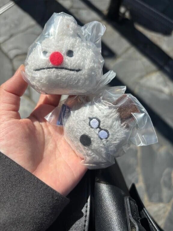 思い出のポケモン💭