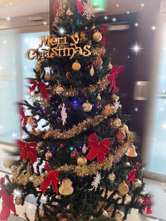 え...クリスマス...早い🎄