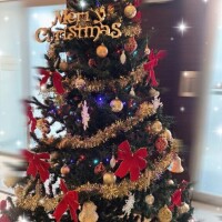 え...クリスマス...早い🎄