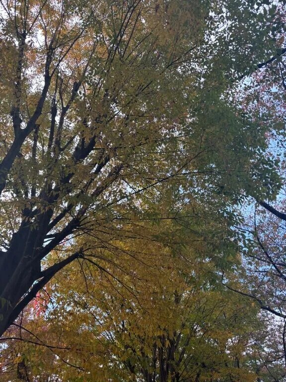 心残りな出来事💭