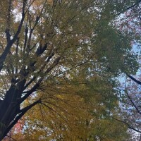 心残りな出来事💭