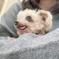 癒された１日でした🍀