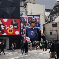 出勤するよん🦖