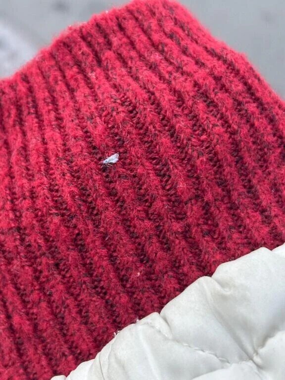 雪虫を発見ー!!⛄️