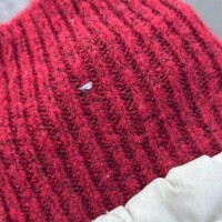 雪虫を発見ー!!⛄️