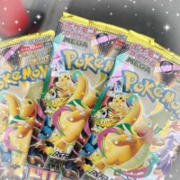 ついに手に入れたのです💫