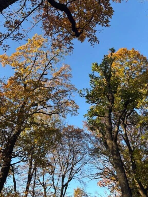 カサカサ遊んでたら🍂
