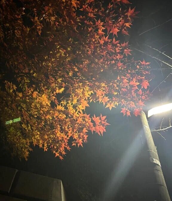 スッキリ〜〜✨