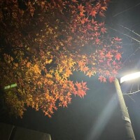 スッキリ〜〜✨