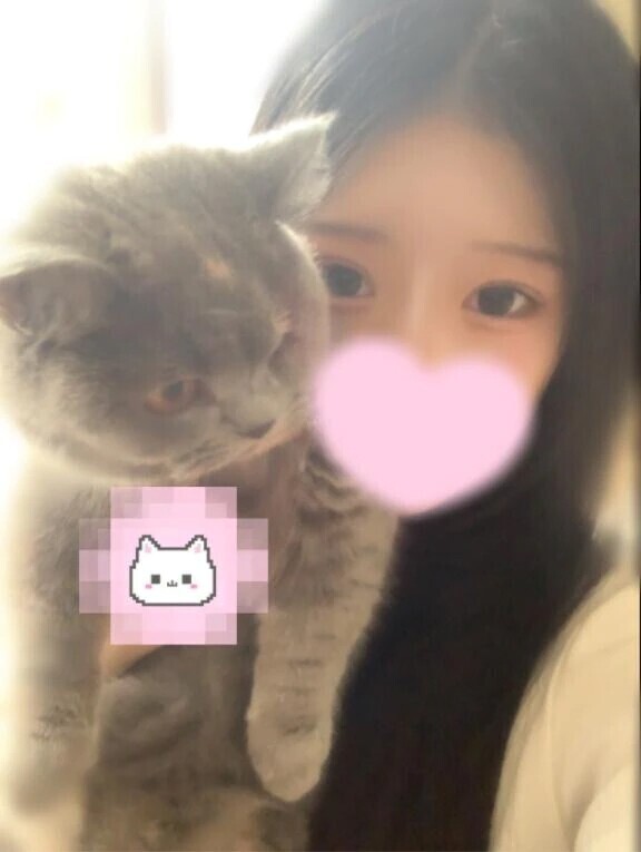 🐱すきですか？