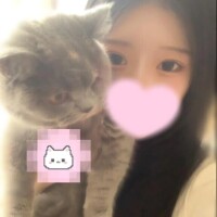 🐱すきですか？