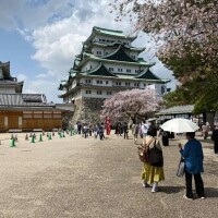 昨日のお礼になります🌱