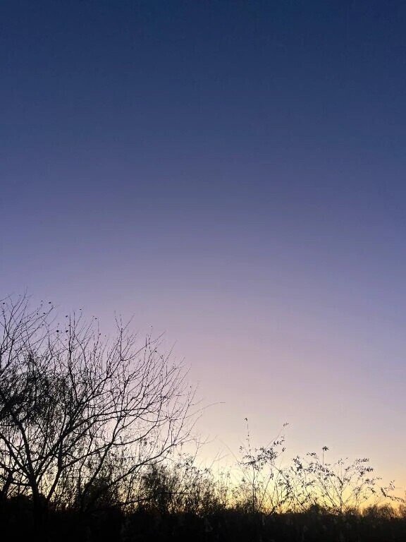 お休みいただいてます💦