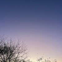 ゆり完全業界未経験