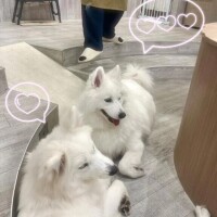 ゆり完全業界未経験