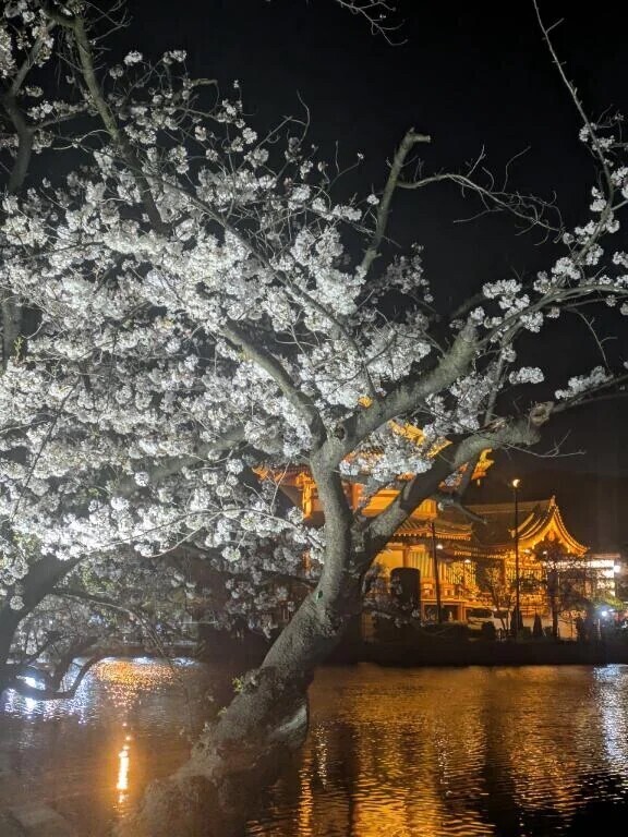 お休み中です🙇‍♂️