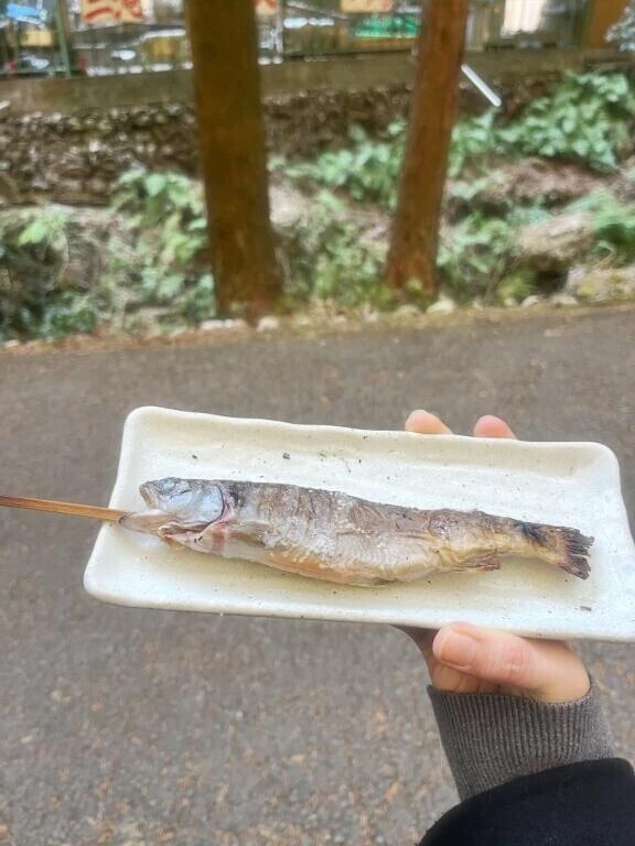 出勤します🐟