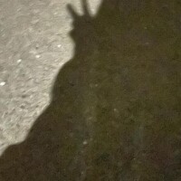 あま完全業界未経験