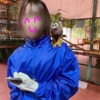 ゆり完全業界未経験