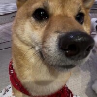 りあ体験