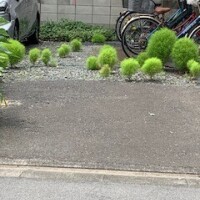 ゆきなです😊
