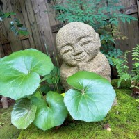 鎌倉好きです👩‍🦰