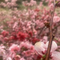 こんにちは