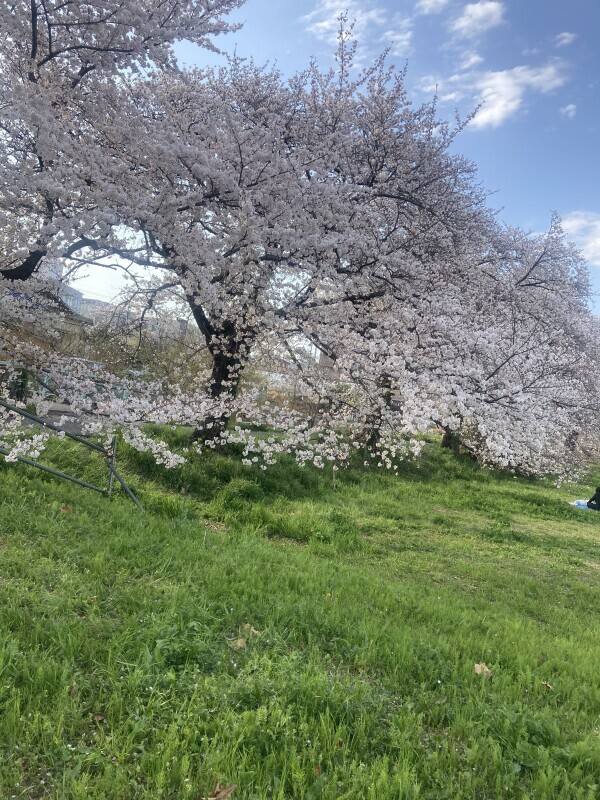 こんにちは