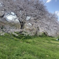 こんにちは