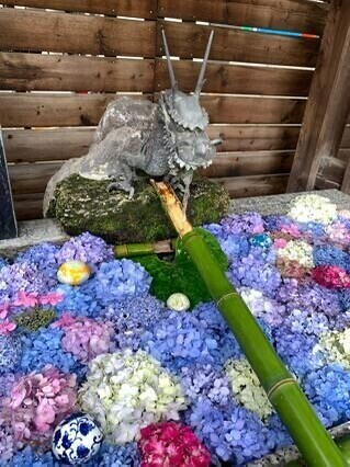 おはようございます