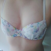 のぎく