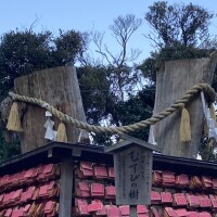 おはようございます