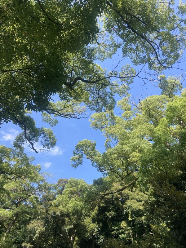 おはようございます
