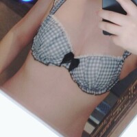 のぎく