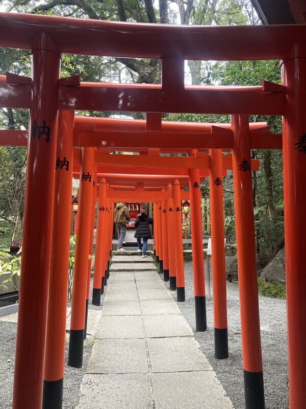 おはようございます