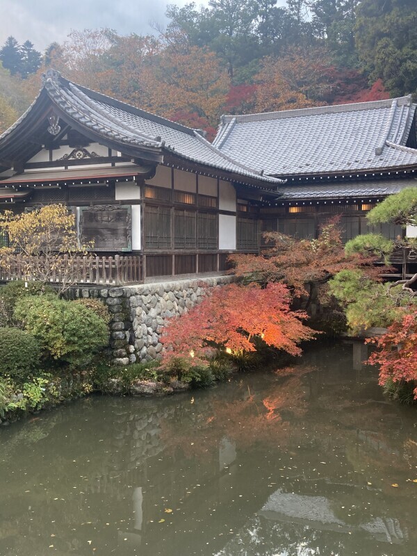 おはようございます