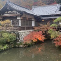 おはようございます