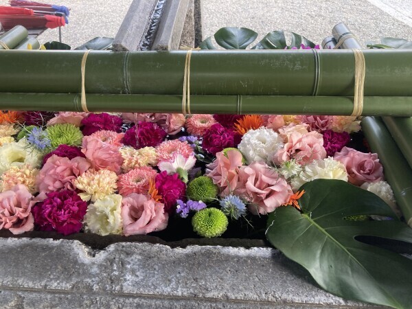 おはようございます