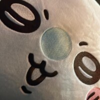 今日はおやすみ𓂃𓈒𓏸