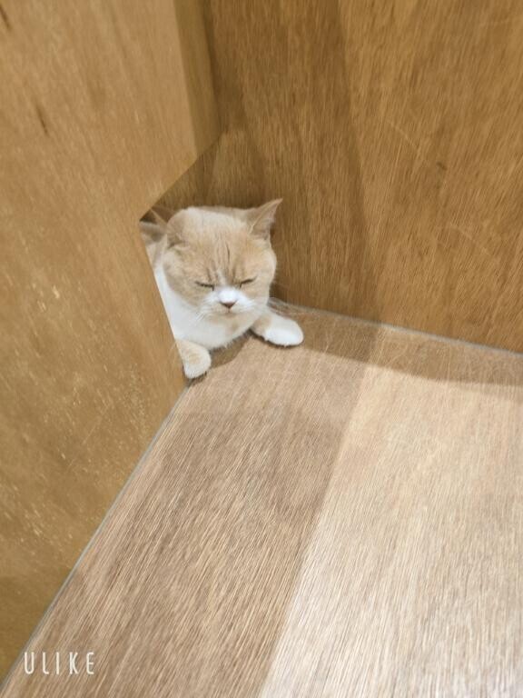 お休みを