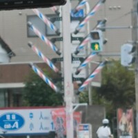 かれん奥様