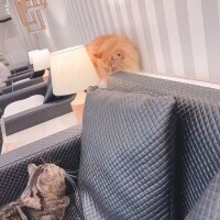 おはよ