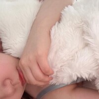今日の〇〇